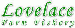 Fisahing in Kent